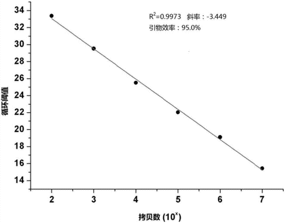 Nosema pernyi template DNA extraction method and application of nosema pernyi template DNA extraction method to molecular diagnosis