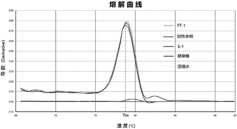 Nosema pernyi template DNA extraction method and application of nosema pernyi template DNA extraction method to molecular diagnosis