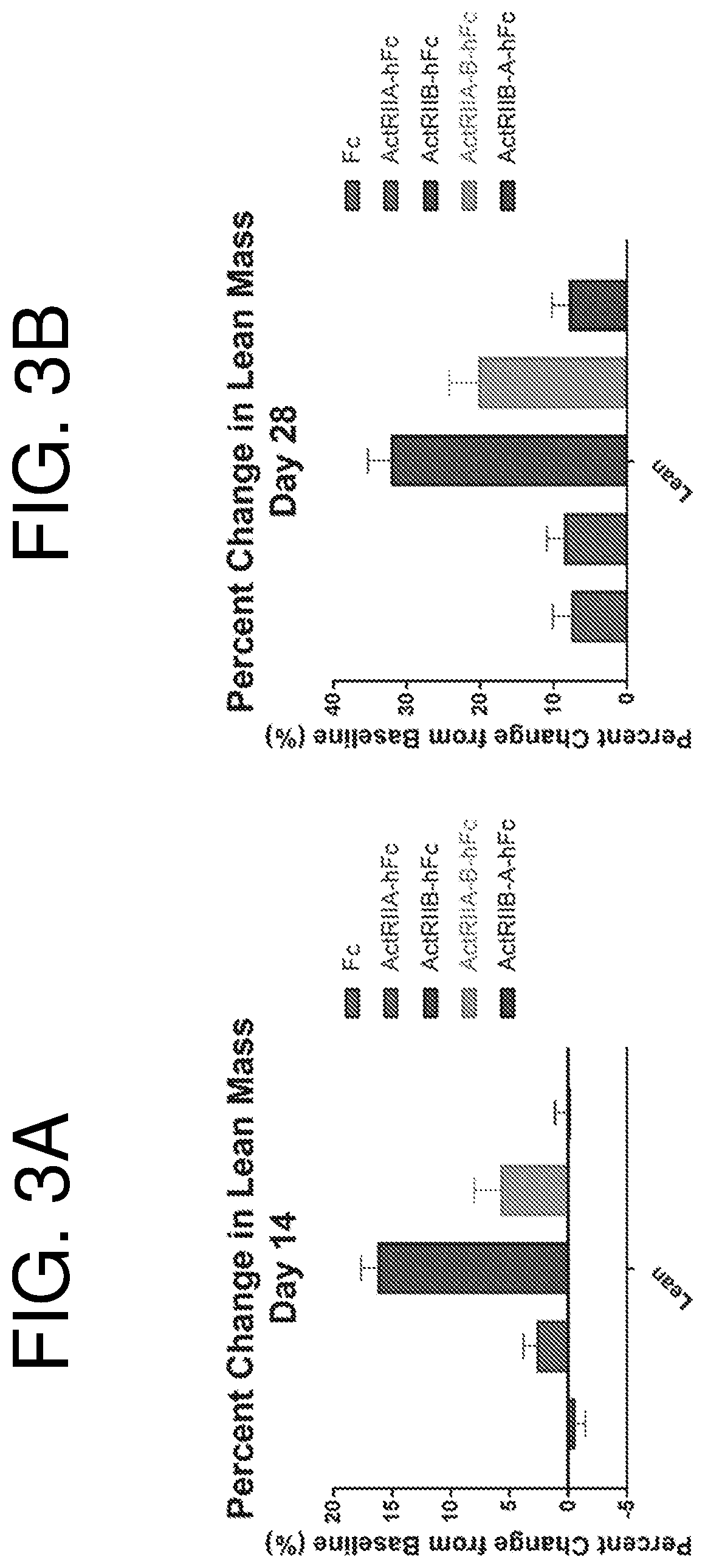 Activin receptor type iia variants and methods of use thereof