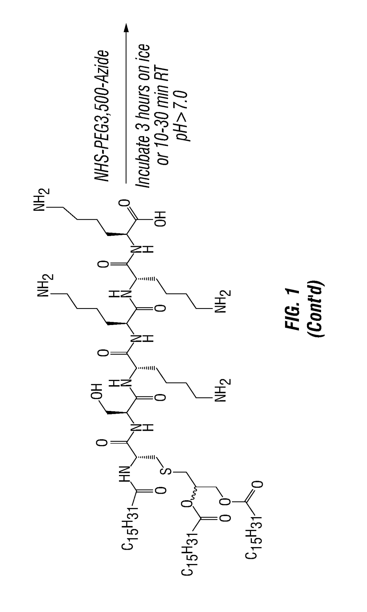 Methods and compositions for treating allergy and inflammatory diseases