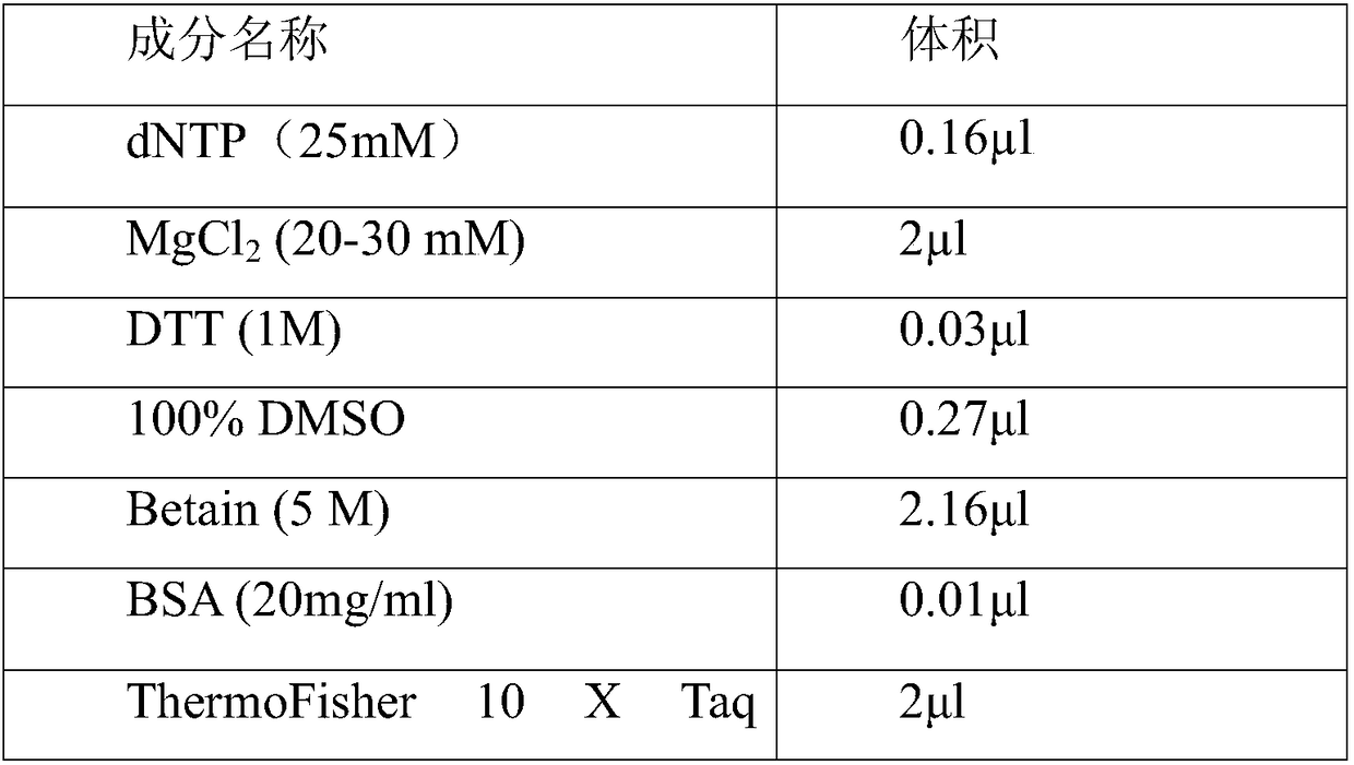 Primer group, kit and method for HLA-DRB1 gene high-resolution typing