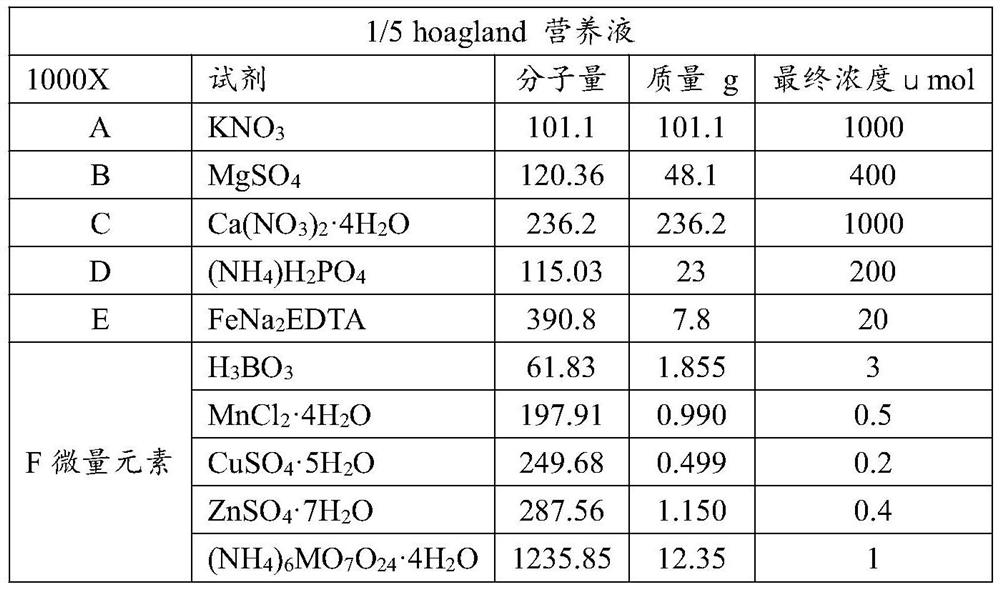 Method for constructing hypha network for transduction of immune signals among plants