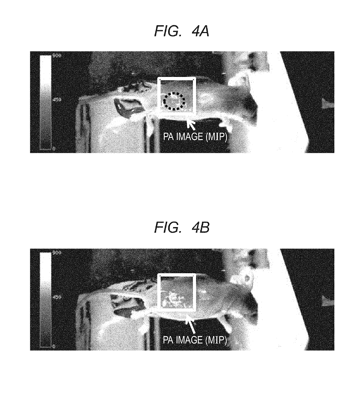 Polymer and contrast agent for photoacoustic imaging including the polymer