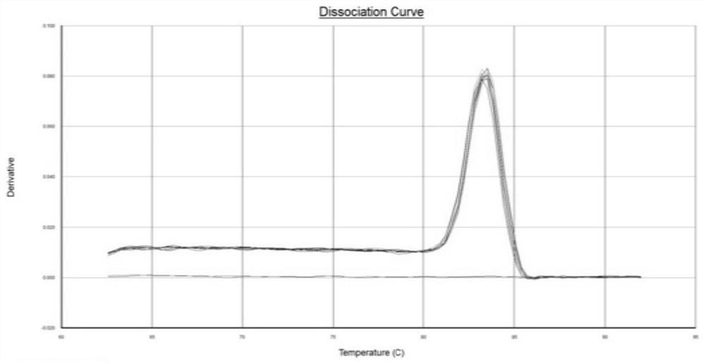 QPCR (quantitative polymerase chain reaction) method for rapidly quantifying copy number of E1A gene of adenovirus