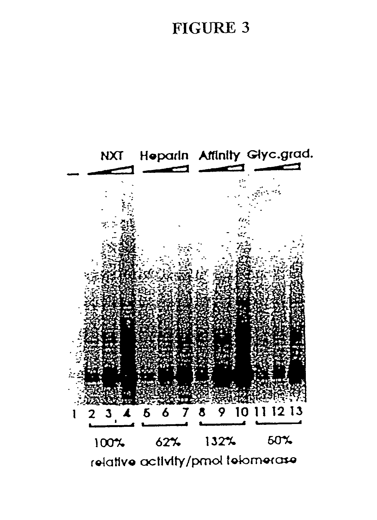 Novel telomerase