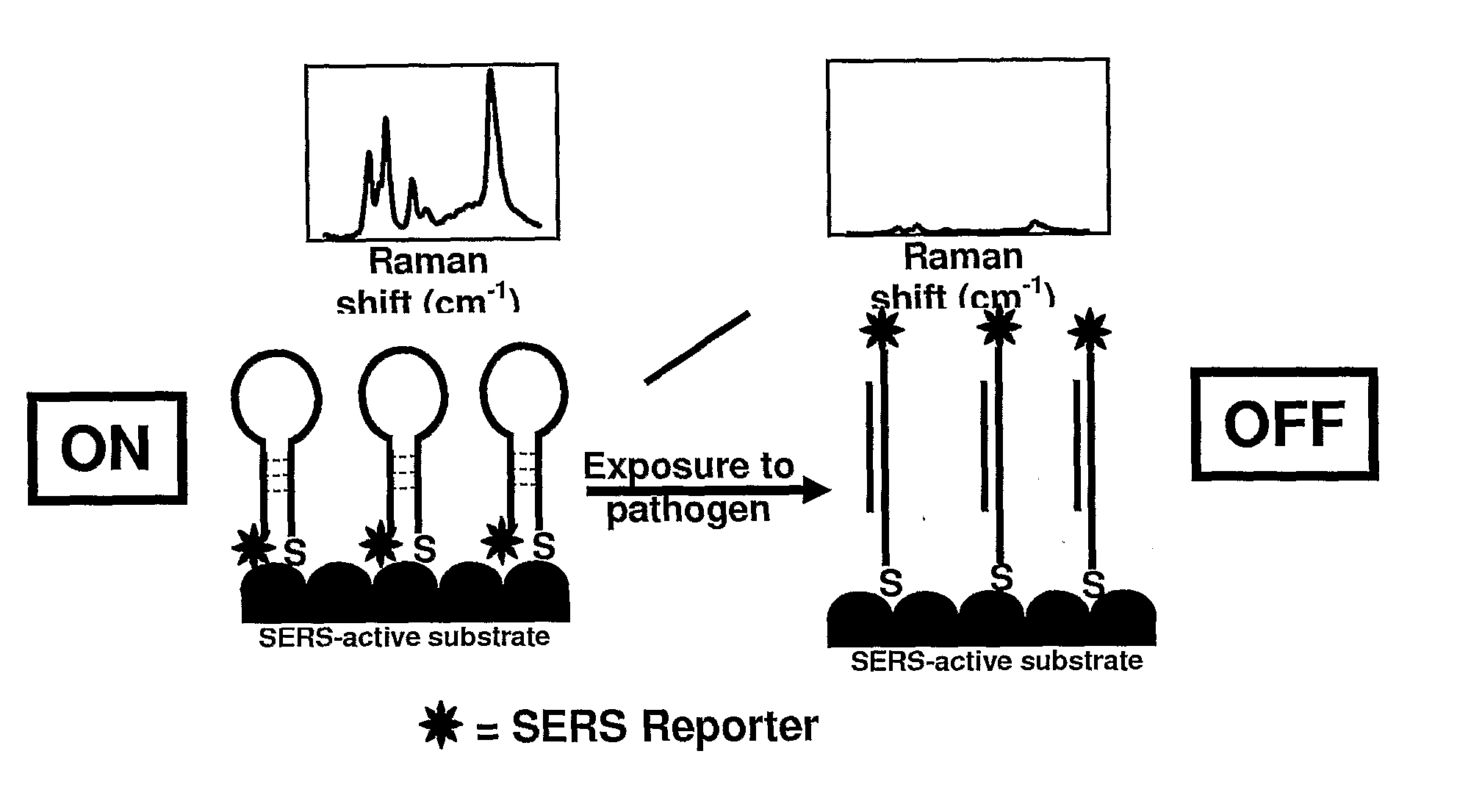 Sers-based methods for detection of bioagents