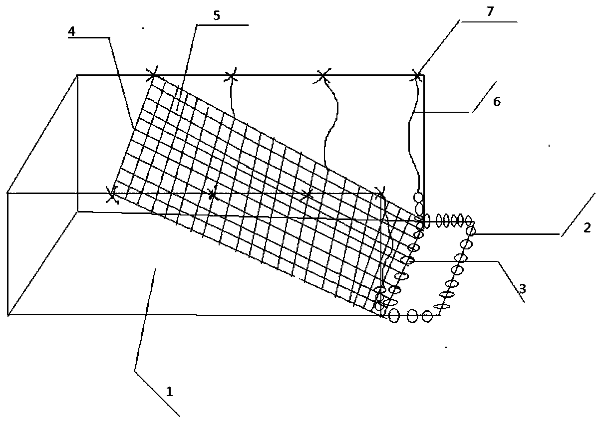 Net cage and method for rapidly separating parents and seeds of macrobrachium nipponense