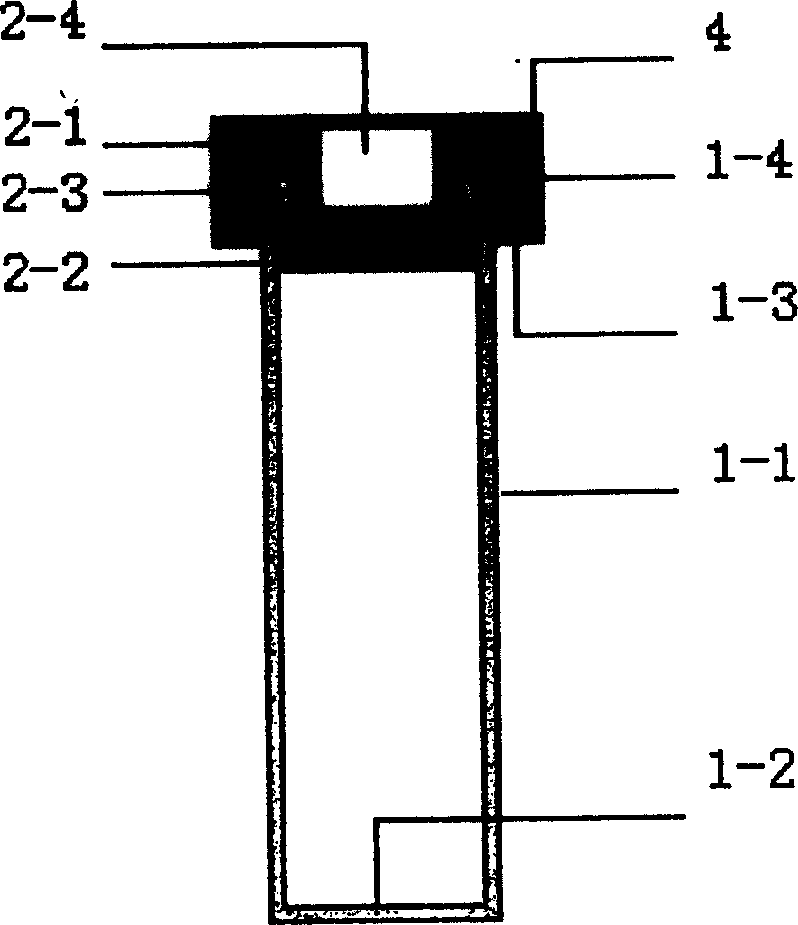 Medicinal bottle with injection function