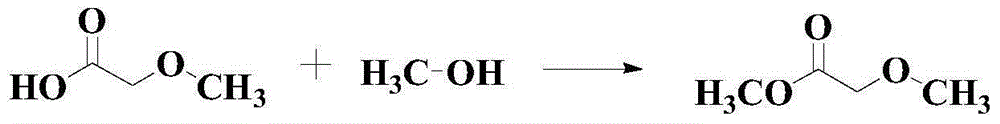 Catalytic synthesis method for methyl methoxyacetate