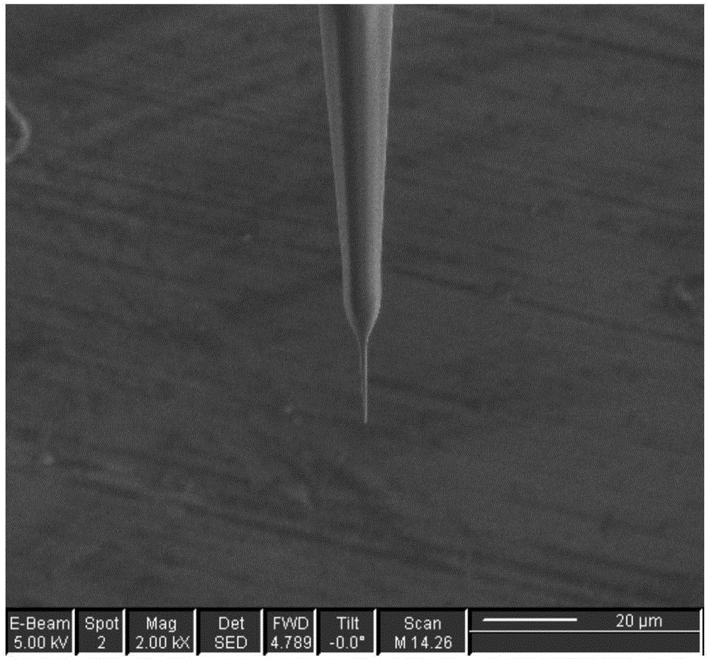 Preparation method for Pt disk sub-micron electrode with controllable geometrical shape