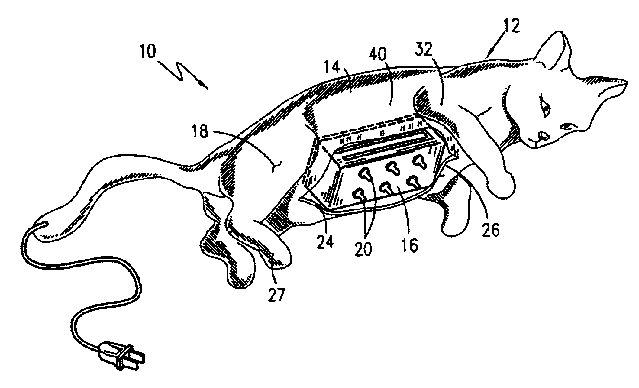 Thermostatically controlled, heated animal nurser and means for simulating a mother's heartbeat