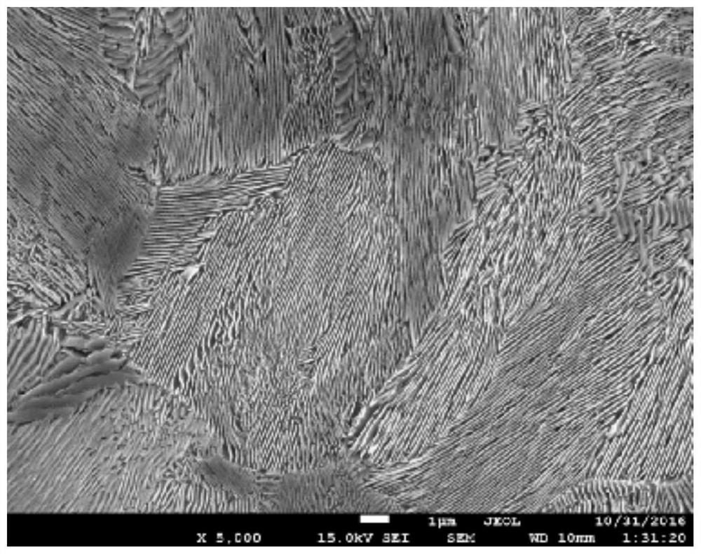 Hot-rolled wire rod for galvanized steel wire of bridge cables above 2000mpa and its production method