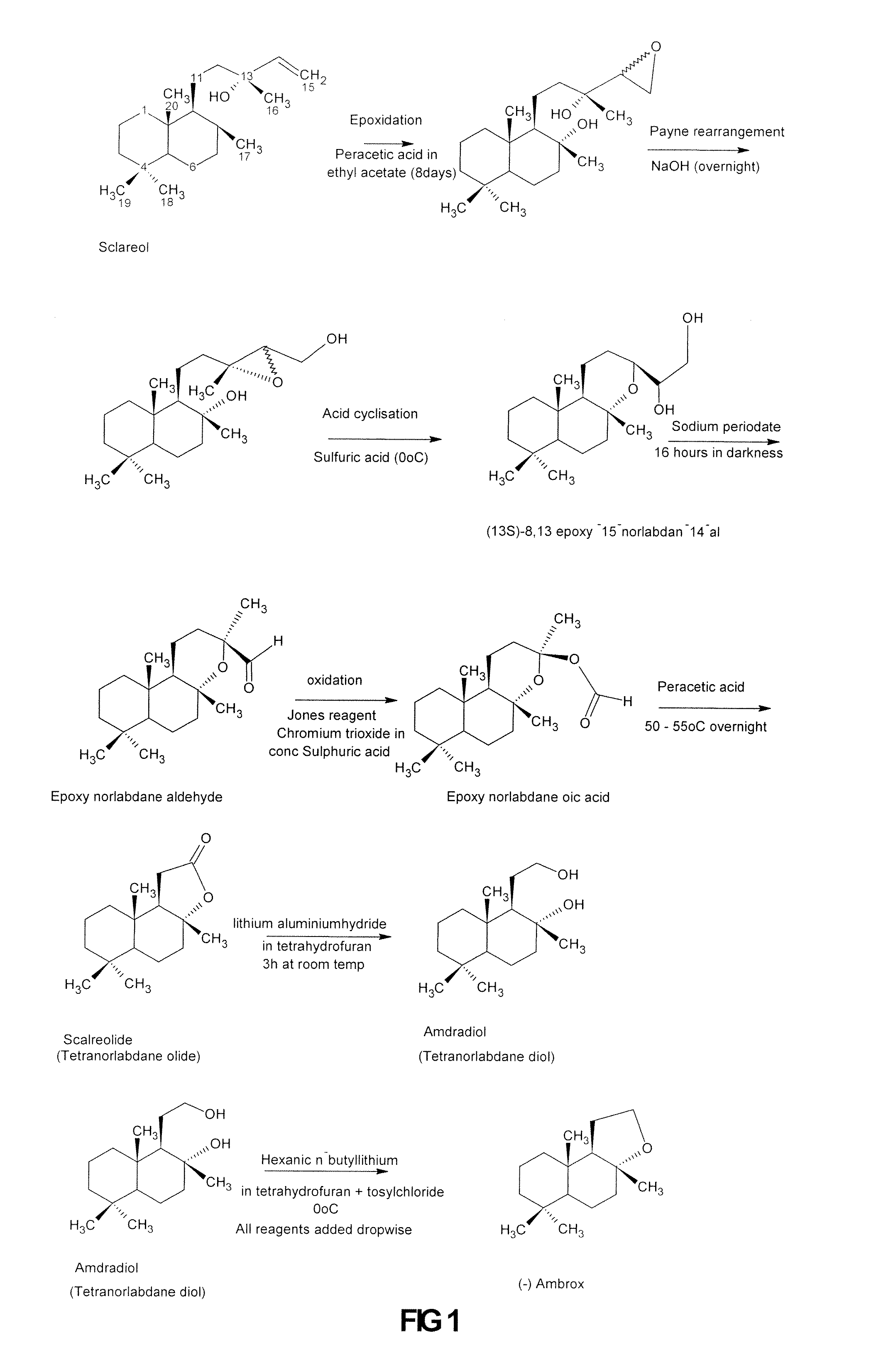 Process for the Production of Ambrafuran