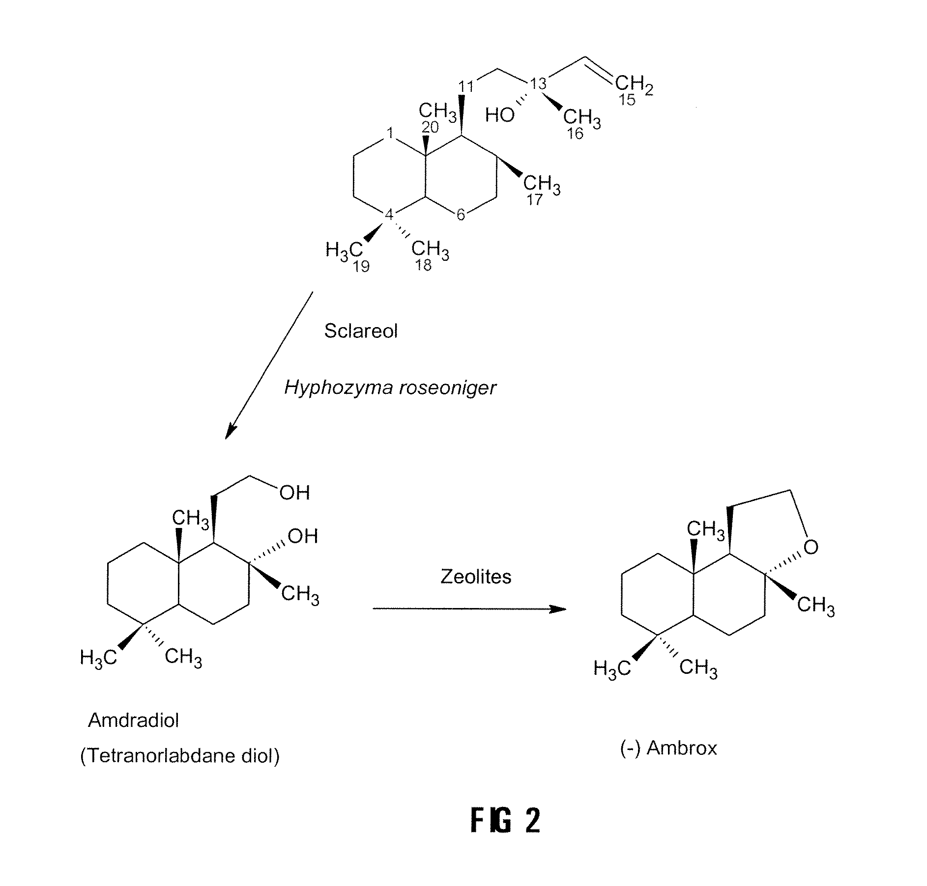 Process for the Production of Ambrafuran