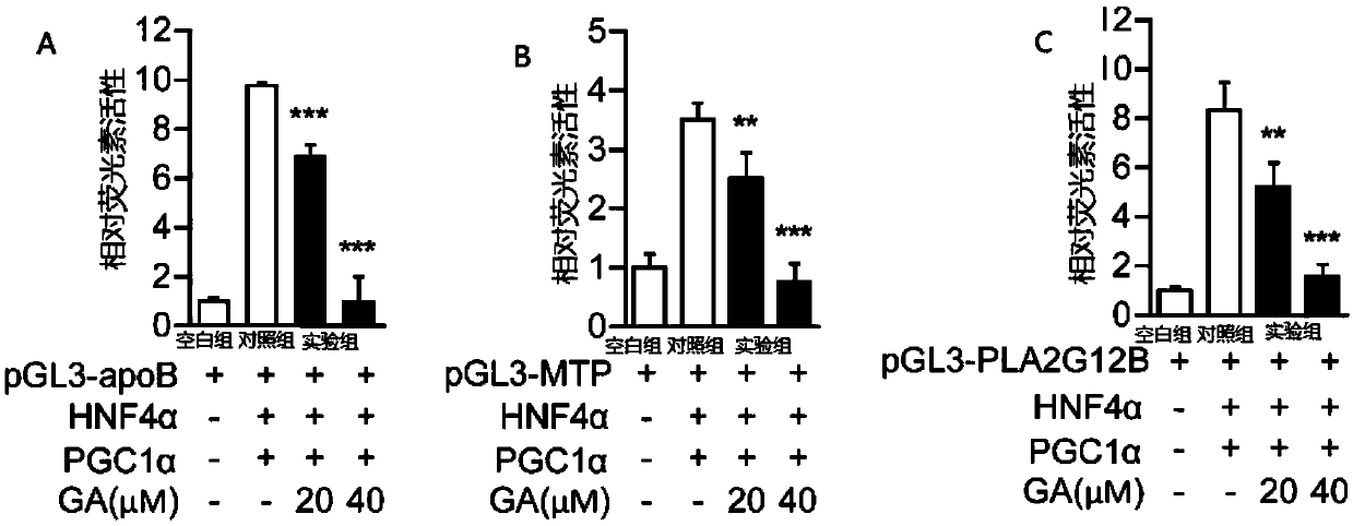 Applications of 18beta-glycyrrhetinic acid in preparation drugs for diseases related to abnormal lipid metabolism