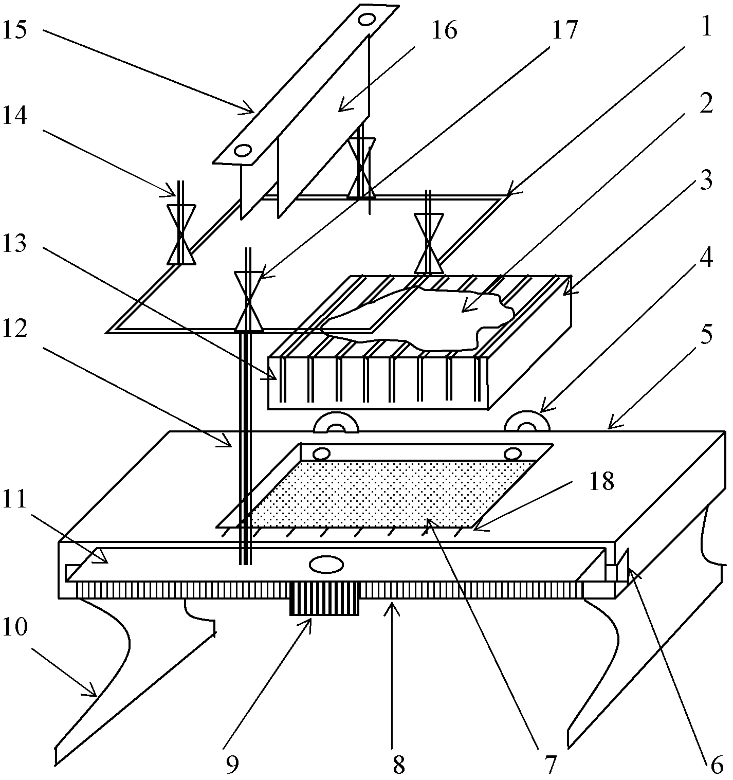 Device used for rat brain tissue slicing and layering