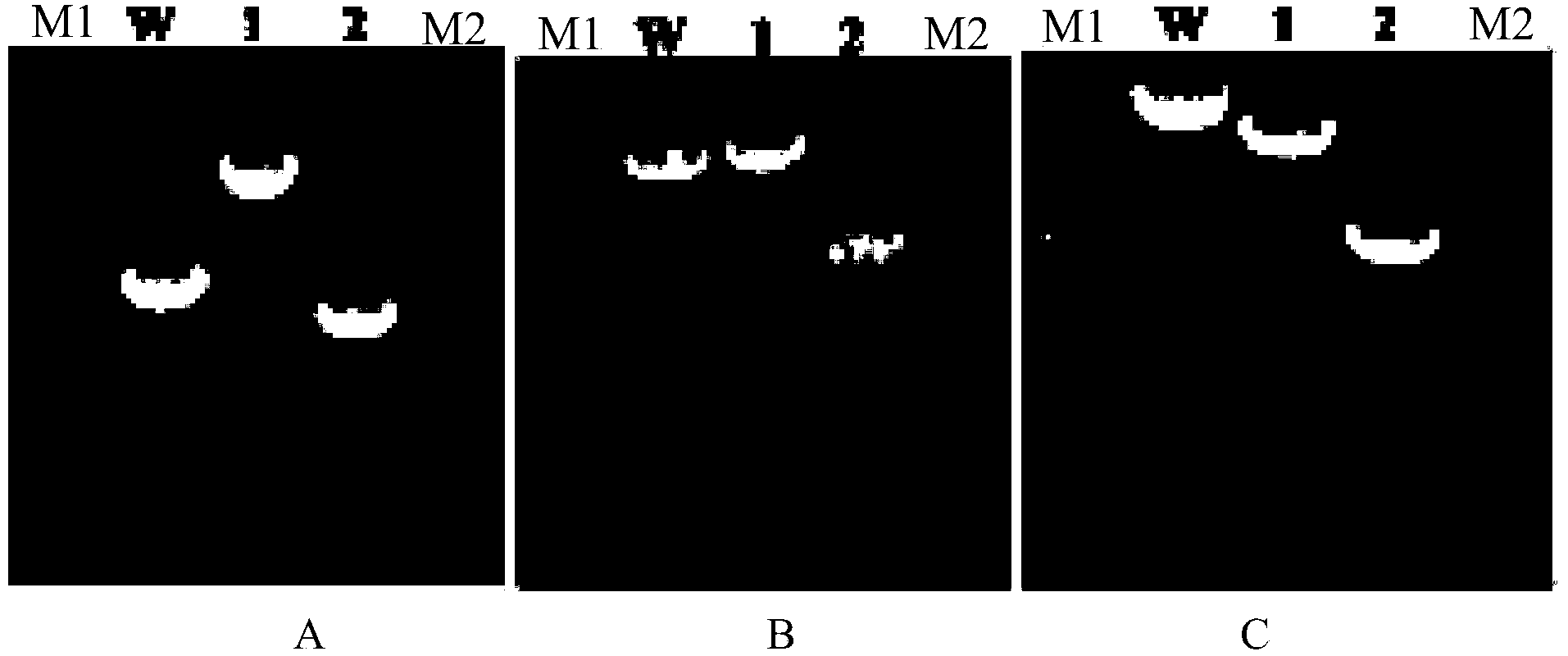 Recombinant Escherichia coli for synthesizing S-1,2-propanediol from L-lactic acid and construction method thereof