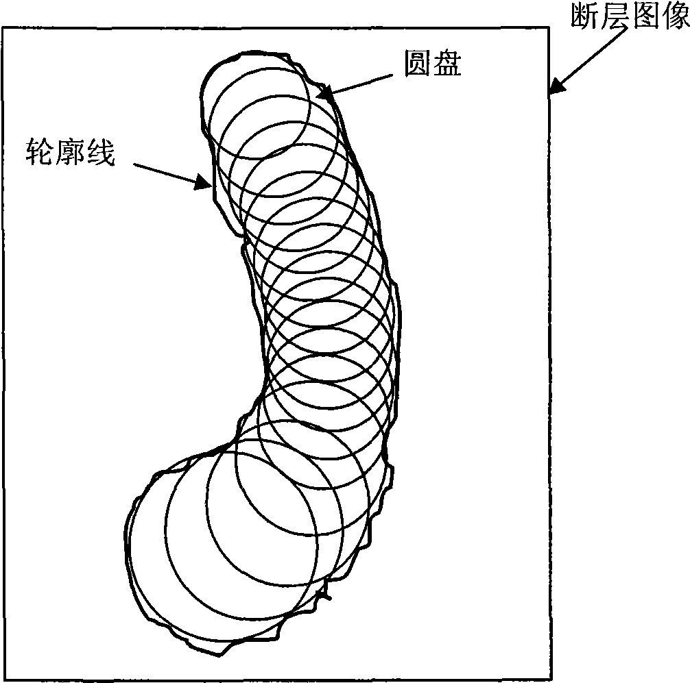 Method for re-establishing surface of three dimensional target object by unparallel dislocation image sequence