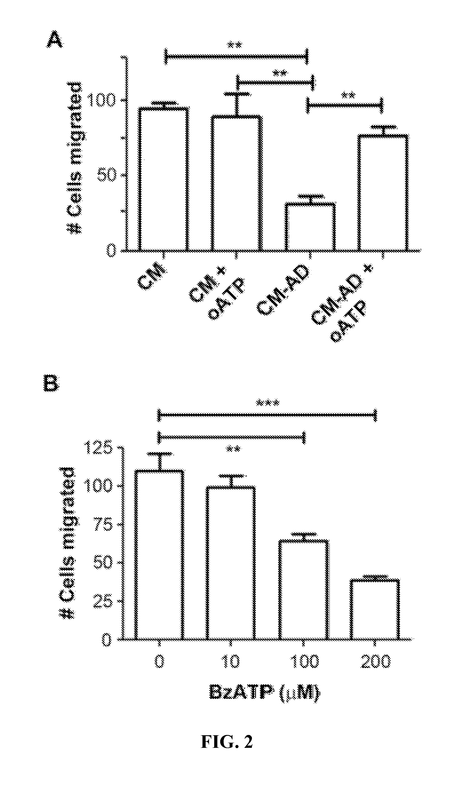 Methods for treatment of primary cancer and cancer metastasis