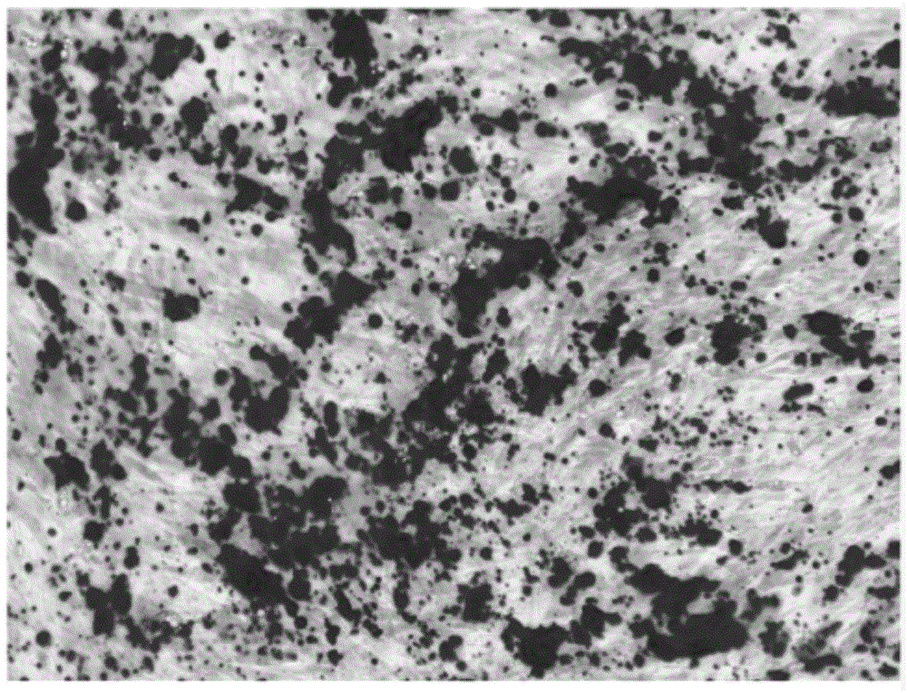 Application of miR-216 in preparation of medicines for promoting osteogenesis differentiation