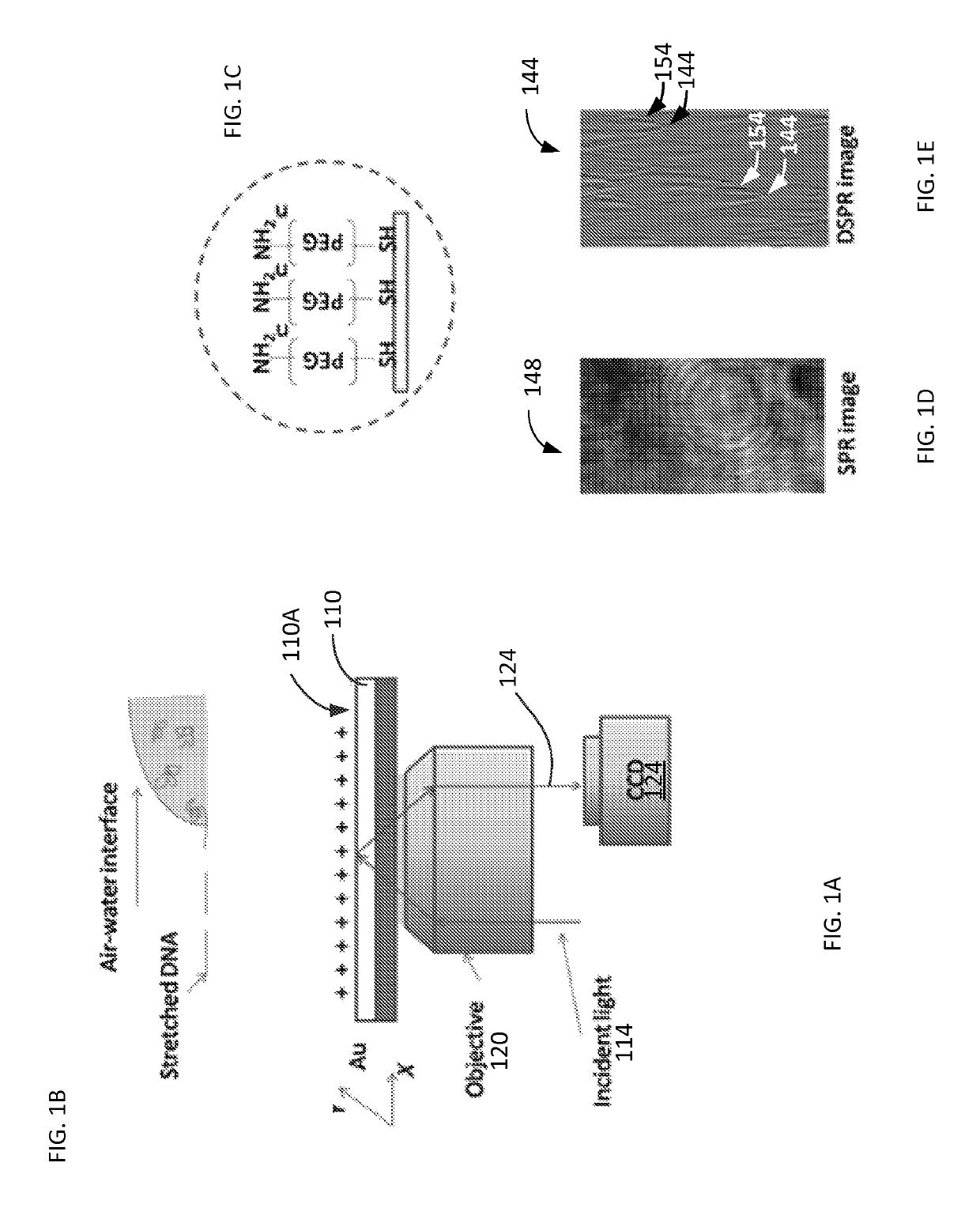 Plasmonic imaging and detection of single DNA molecules