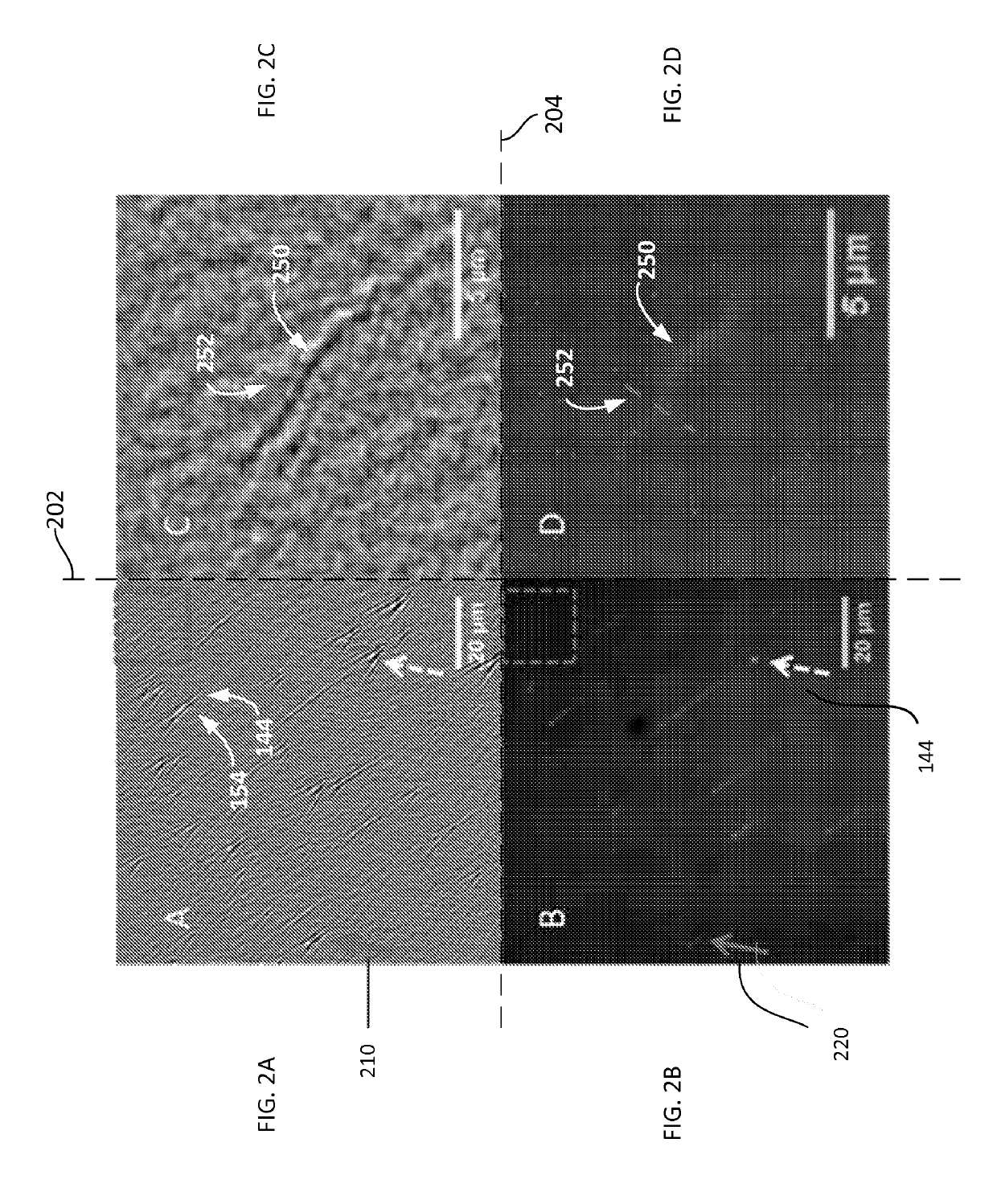 Plasmonic imaging and detection of single DNA molecules