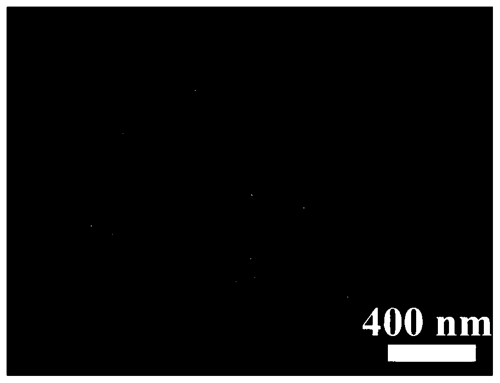 Hollow nanorobot and preparation method and application thereof as antioxidant