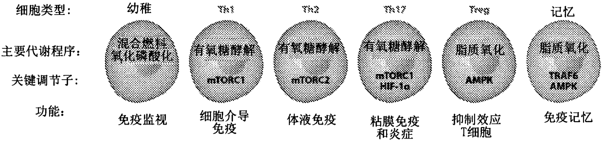 Methods and compositions for treating metabolic reprogramming disorders