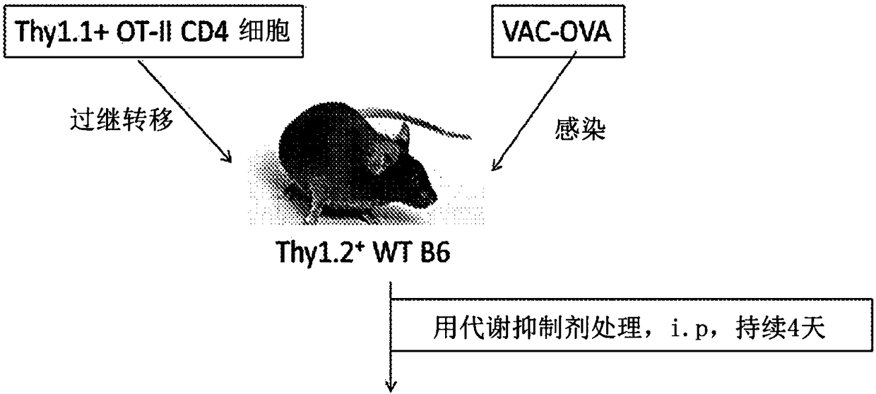 Methods and compositions for treating metabolic reprogramming disorders