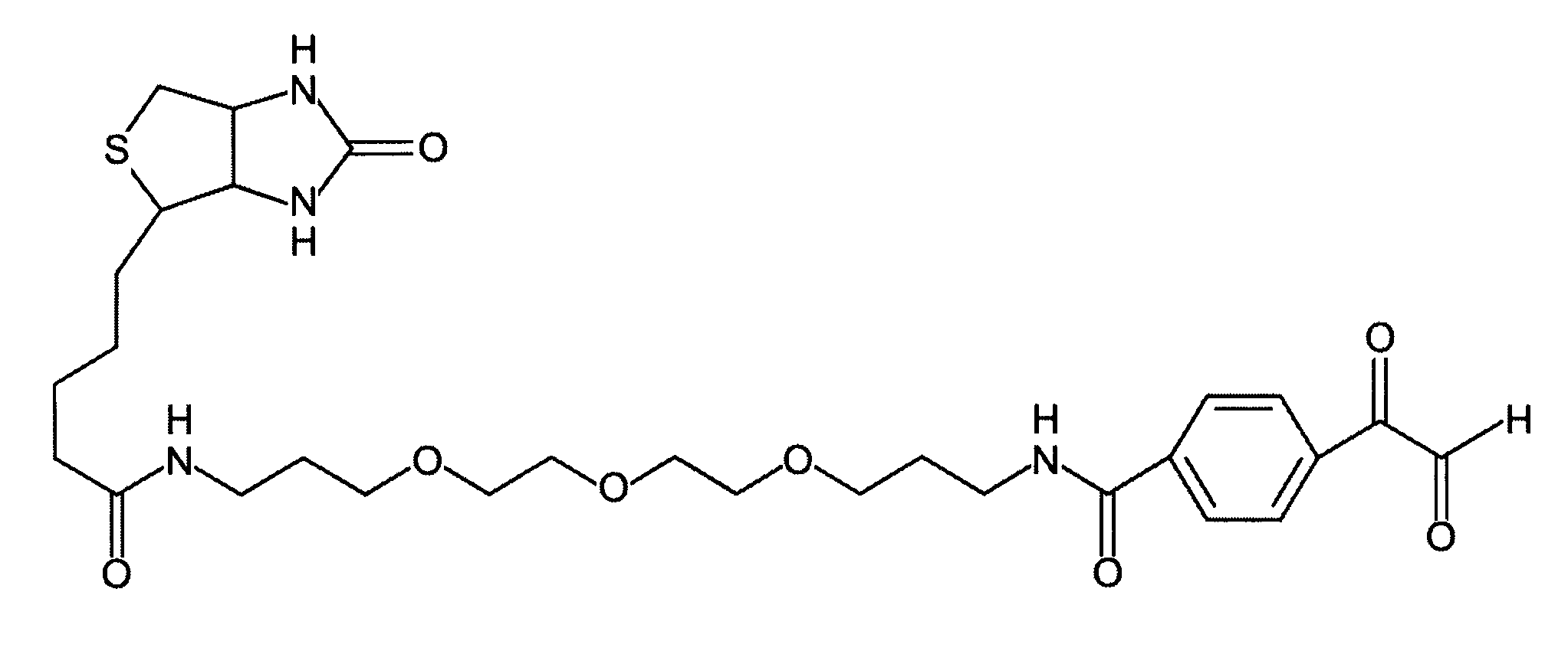 Methods for modifying, isolating, detecting, visualizing, and quantifying citrullinated and/or homocitrullinated peptides, polypeptides and proteins