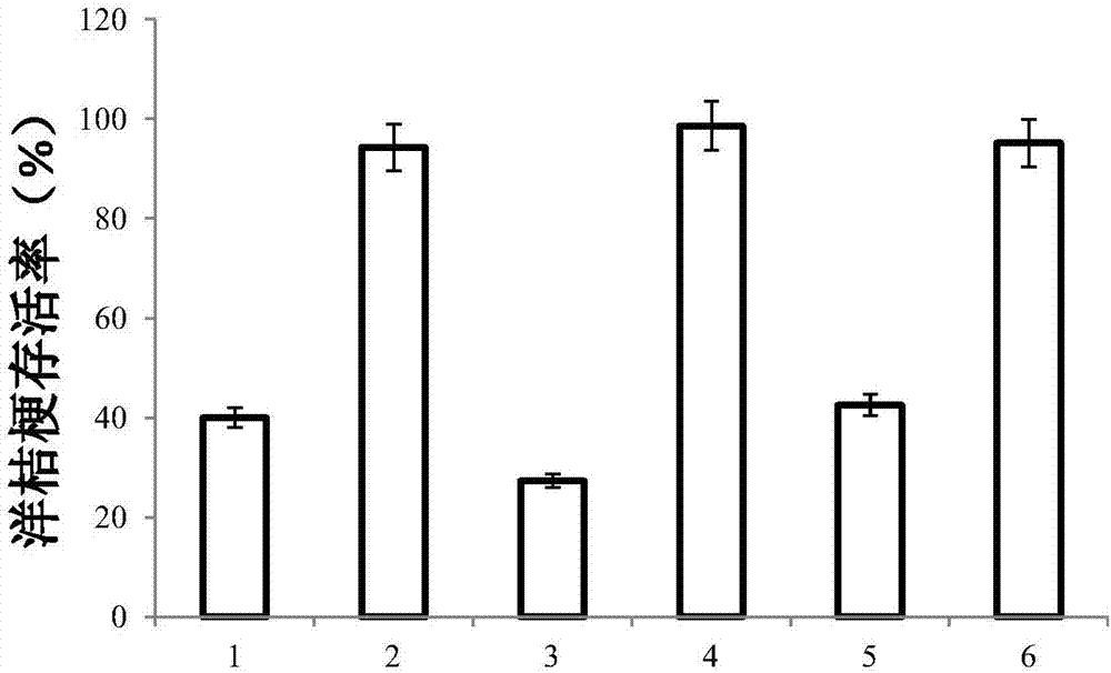 Continuous cultivation method of eustoma grandiflorum