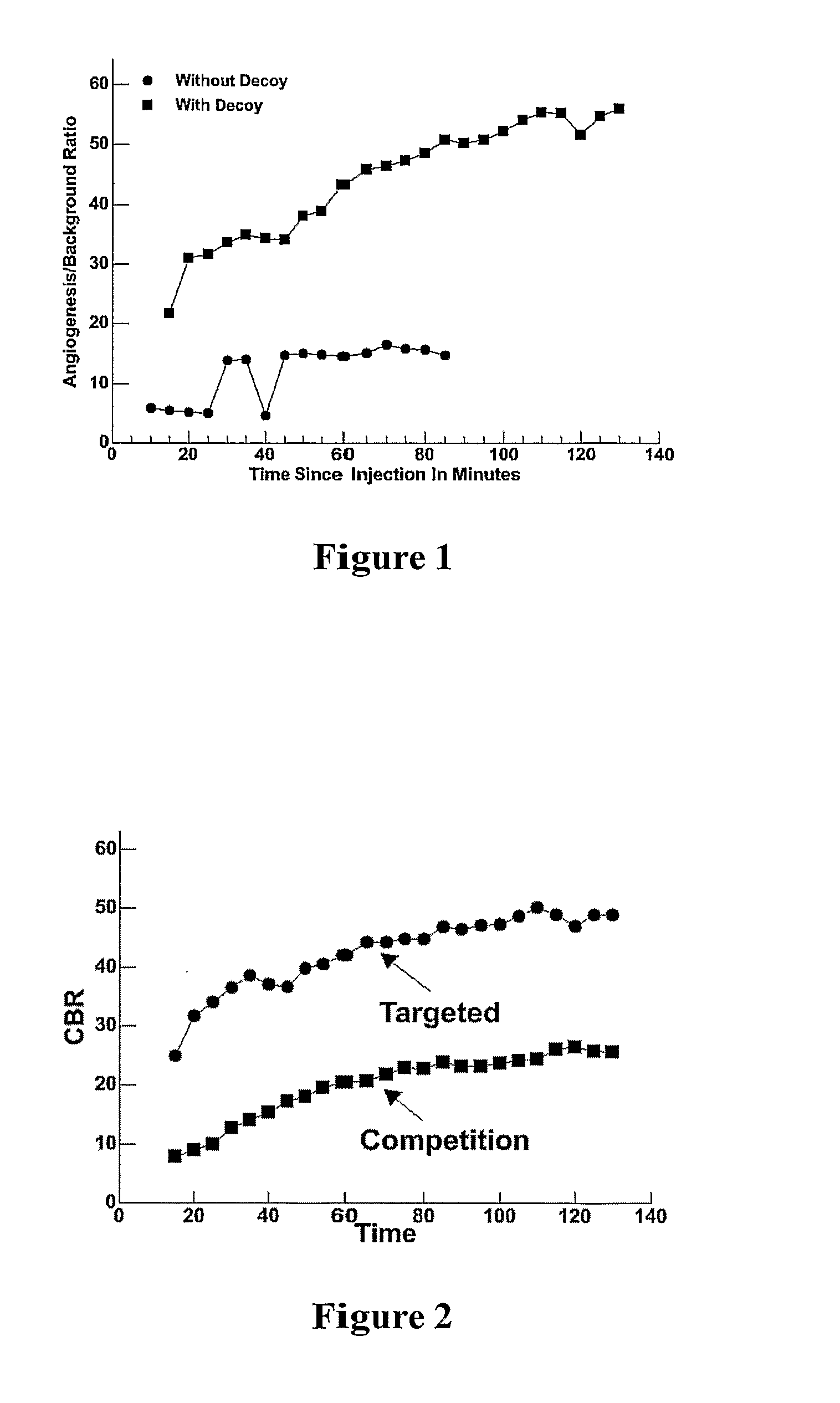 Efficacy and Safety of Targeted Particulate Agents with Decoy Systems