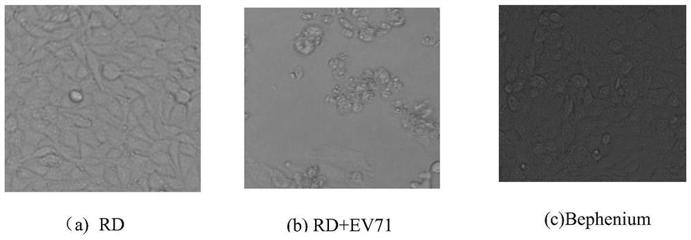 Application of Bephenium Hydroxynaphthoate in preparation of anti-EV71 medicine