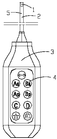 Pelvic Organ Prolapse Quantification tool and instructions thereof