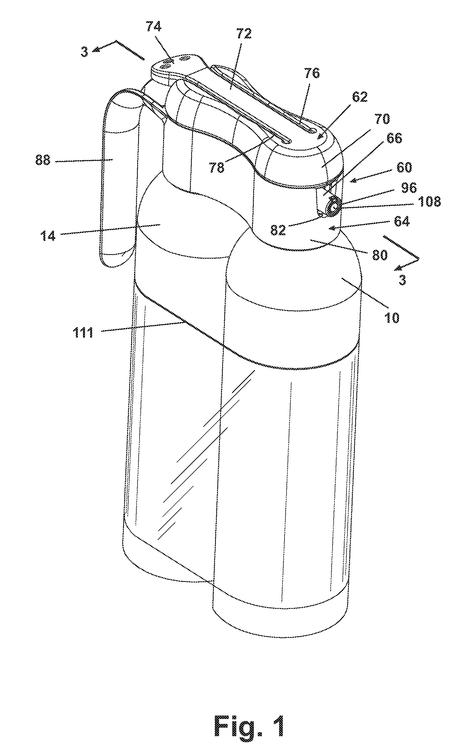 Manual sprayer with dual bag-on-valve assembly