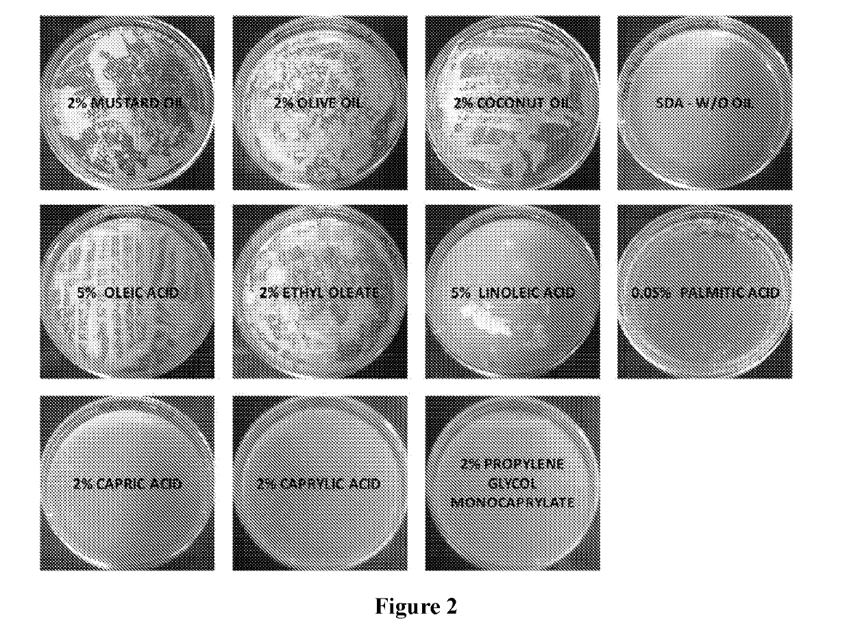 Synergistic antifungal compositions and methods thereof