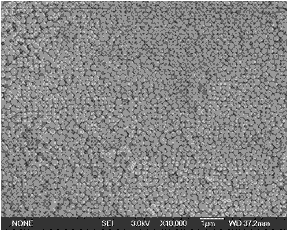 Injectable self-sealing gel applicable to drug loading and releasing and preparation method and application thereof