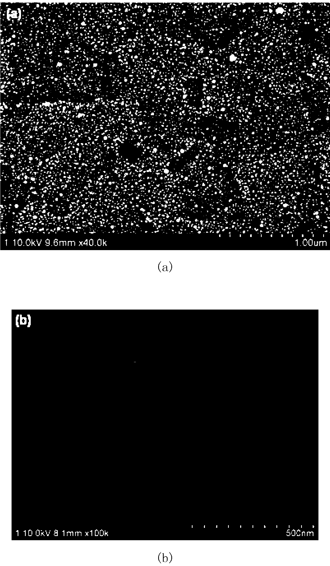 Preparation method of metal surface plasmon polariton-CdSe composite porous anodes