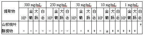 Oral care product containing hickory leaf alcohol extract and having effect of helicobacter pylori