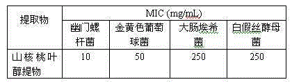 Oral care product containing hickory leaf alcohol extract and having effect of helicobacter pylori