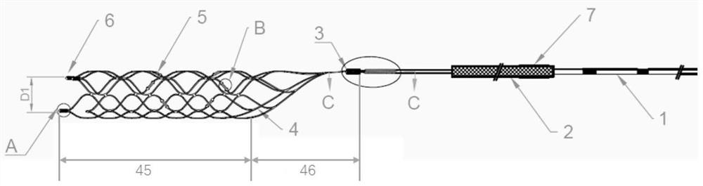 Curled multi-section developing thrombectomy stent system