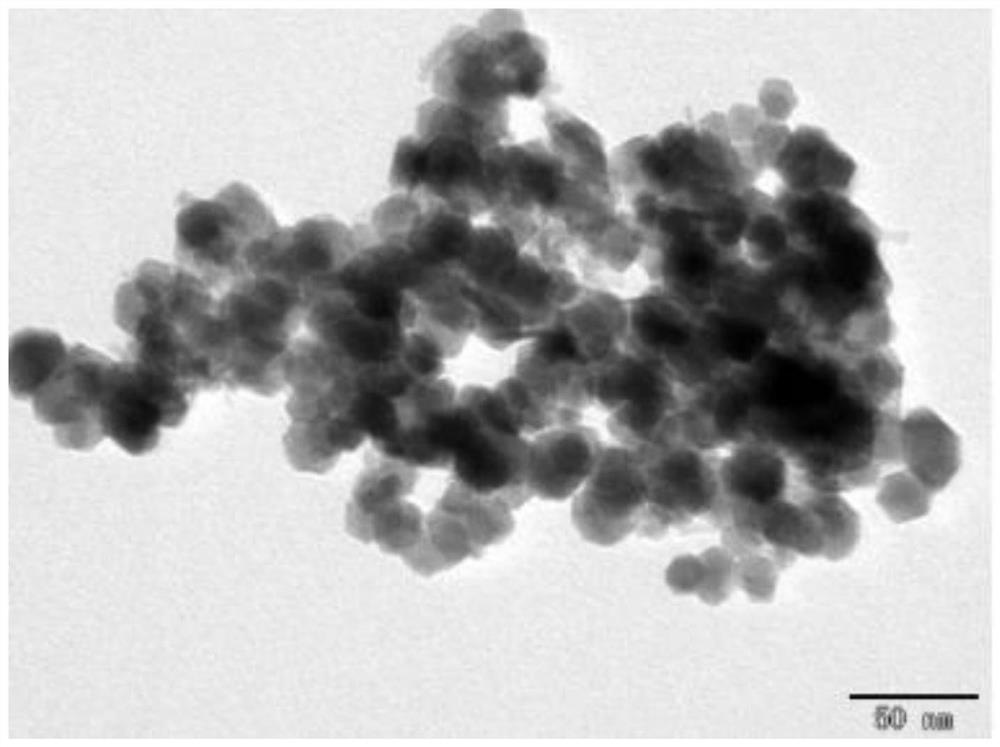 A kind of preparation method of amino magnetic nanoparticles and its application in dna extraction