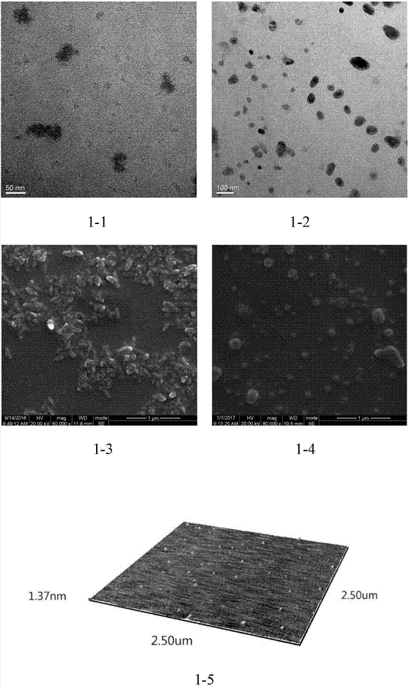 Bio-safety carbon quantum dot-loaded adriamycin complex as well as preparation method and application thereof