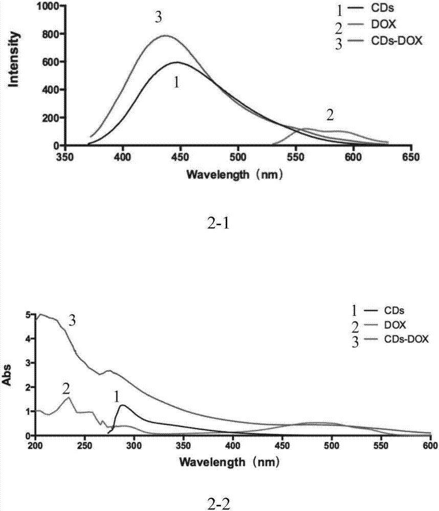 Bio-safety carbon quantum dot-loaded adriamycin complex as well as preparation method and application thereof