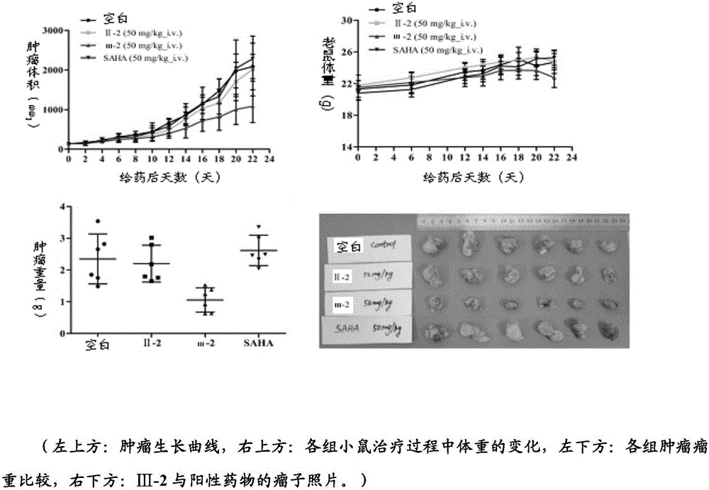 Histone deacetylase inhibitor, and preparation method and application thereof