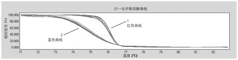 A kind of SNP molecular marker primer of main effect qtl site of pear fruit juice content and its application