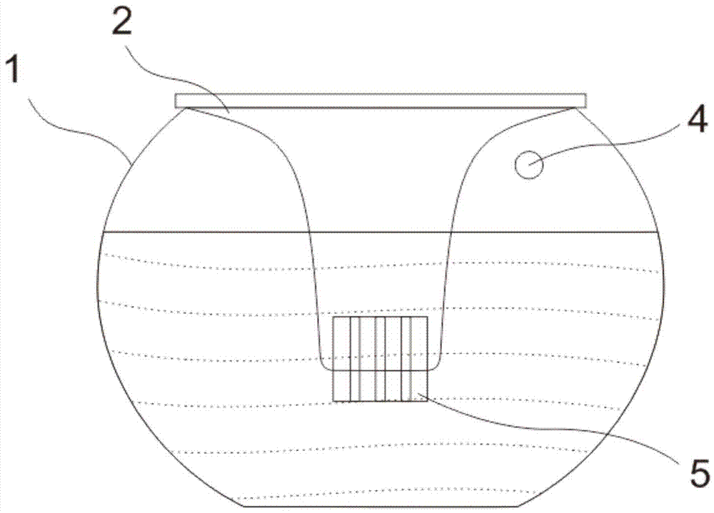 Hydroponic plant container