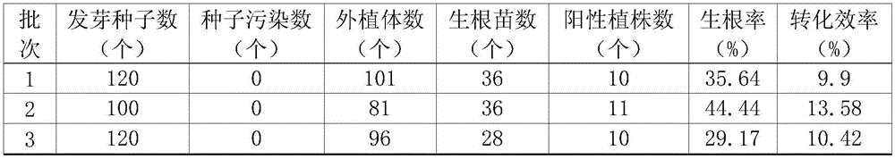 Kit comprising serial culture mediums and its application in soybean genetic transformation