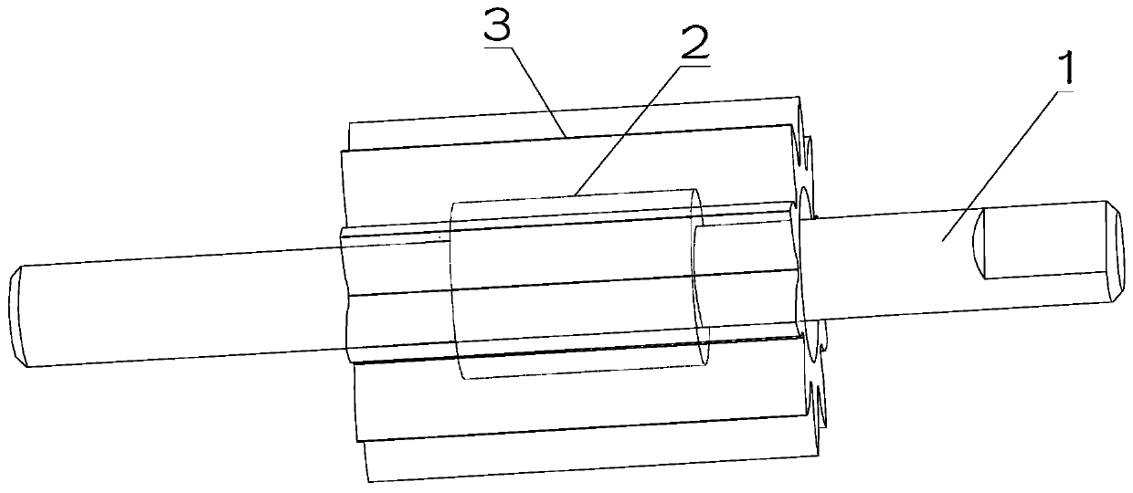 Encapsulated injected gear, injection process and mold