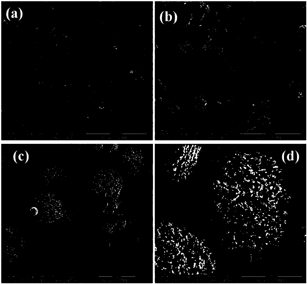 Lithium-rich manganese-based positive electrode material precursor, positive electrode material and preparation method thereof